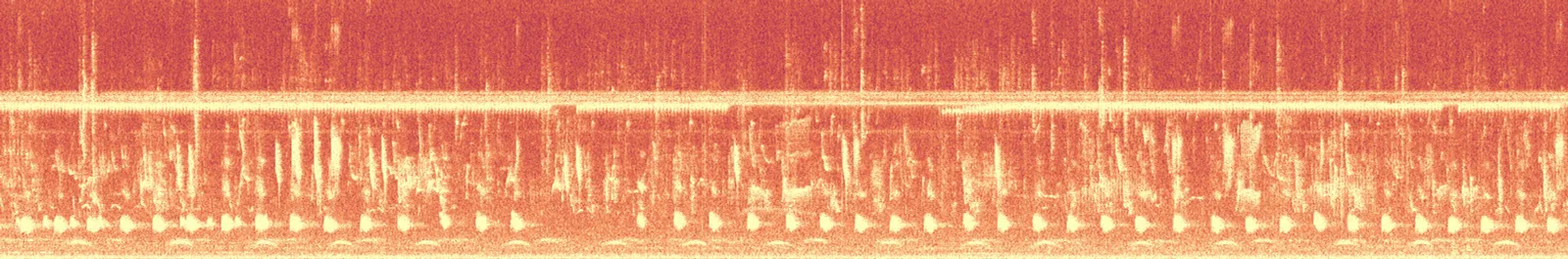 Spectrogram — Ramphastos brevis