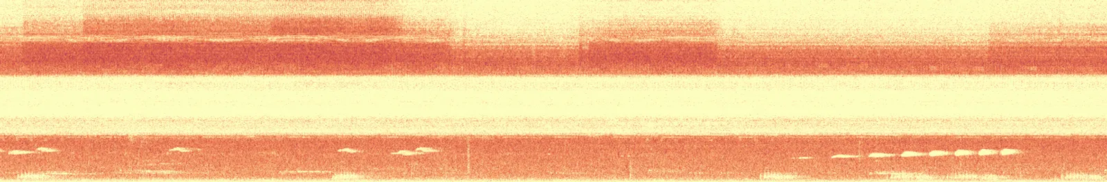 Spectrogram — Pulsatrix perspicillata